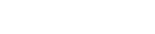 RAD Intel